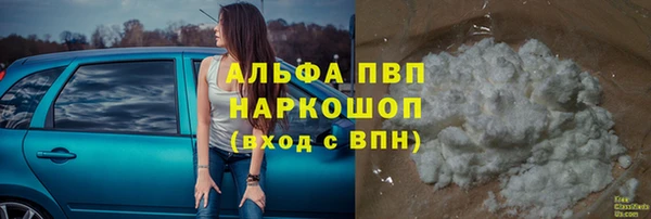 круглые Белокуриха