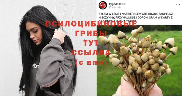 индика Беломорск