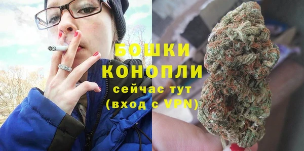индика Балабаново