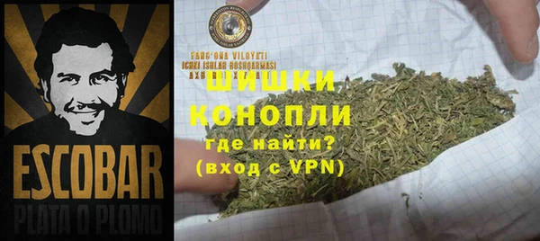 ГАЛЛЮЦИНОГЕННЫЕ ГРИБЫ Богородск