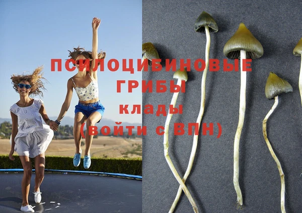 spice Богданович