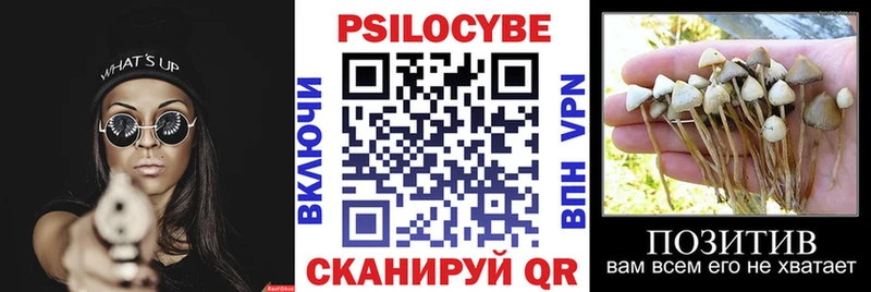 Псилоцибиновые грибы ЛСД  блэк спрут зеркало  Дагестанские Огни 